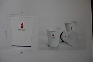 校園文化產(chǎn)品開發(fā)中的廣告策劃與設計賞析